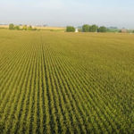 auction-sale_productive-farm-land-estate-north-central-illinois