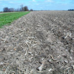 central-illinois-acreage-for-sale-divernon-gunderson-farm