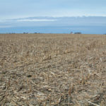 central-illinois-farm-land-for-sale_harvested-corn-field_loranda-group