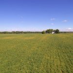 central-illinois-farm-land-for-sale_mclean-county-farm