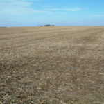 central-illinois-roanoake-farmland-for-sale