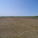 east-central-illinois-acreage-for-sale-vyas-trust-farm