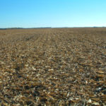 east-central-illinois-champaign-selling-farmland-bachman-estate