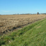 east-central-illinois-loda-bachman-estate-tillable-acreage