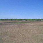 east-central-illinois-selling-farmland-paris-township-vyas-farm