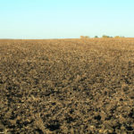 illinois-farm-land-for-sale-by-auction-crop-fields