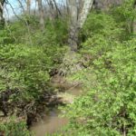 missouri-recreational-land-for-sale-public-auction_the-loranda-group