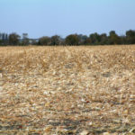 north-east-illinois-selling-genda-farm-tillable-acres