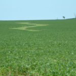 northern-illinois-133-acres-farmland-for-sale