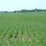 northern-illinois-farm-land-investment-opportunity