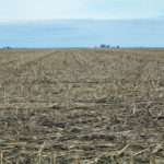 piatt-county-illinois_trust-farm-for-sale_loranda-group