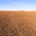 selling-illinois-farm-land-via-auction-expanse-of-tillable-acres_Paulsen-farm