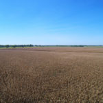 west-central-illinois-farm-for-auction-sale-shank-farm