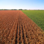 west-central-illinois-farmland-auction-corn-soybeans