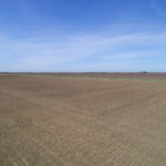 central-illinois_farm-land-acreage_carter-trust_loranda-group