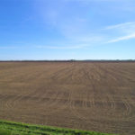 illinois-farm-land_carter-trust_loranda-group