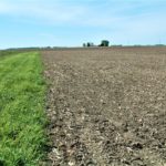 midwest-farm-land-sale_illinois-carter-trust_loranda-group