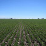 piatt-county-central-illinois-farm-land-auction_carter-trust_loranda-group