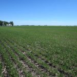 piatt-county-illinois-farm-land-auction_loranda-group