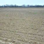 selling-farm-land_tillable-acres_illinois_york-farm