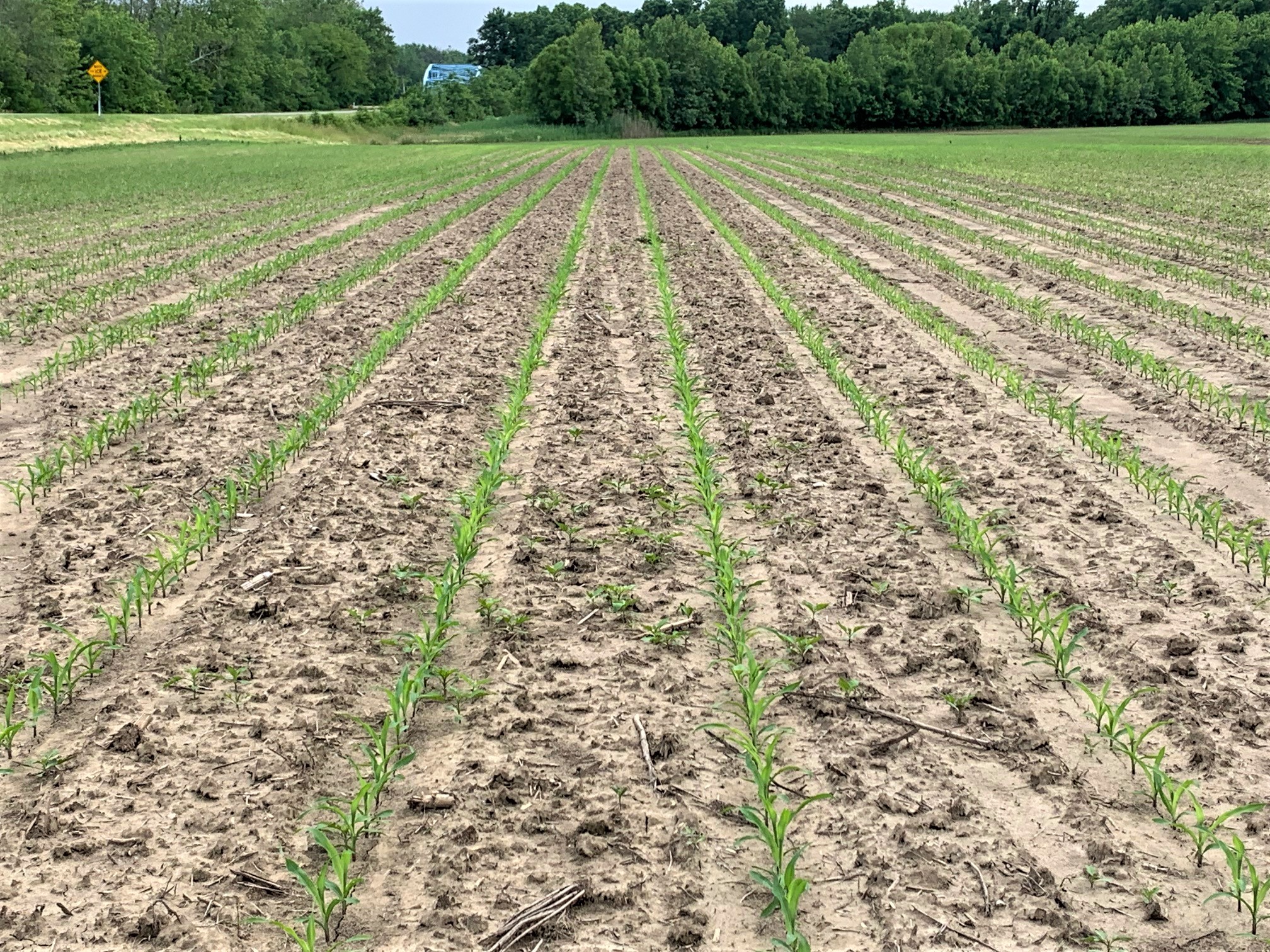 Carroll County Central Indiana The Loranda Group