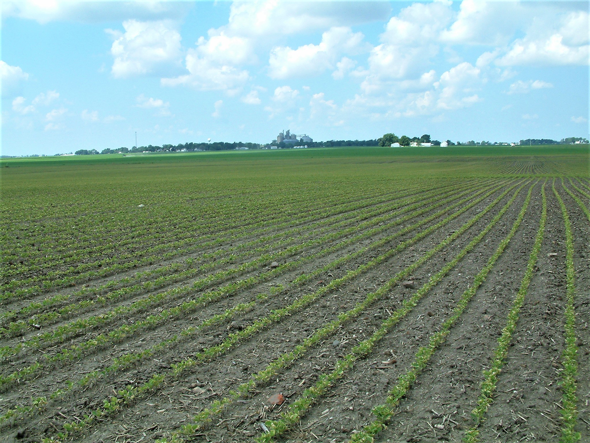 McLean County Central Illinois The Loranda Group