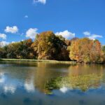 T1 Pond Pano