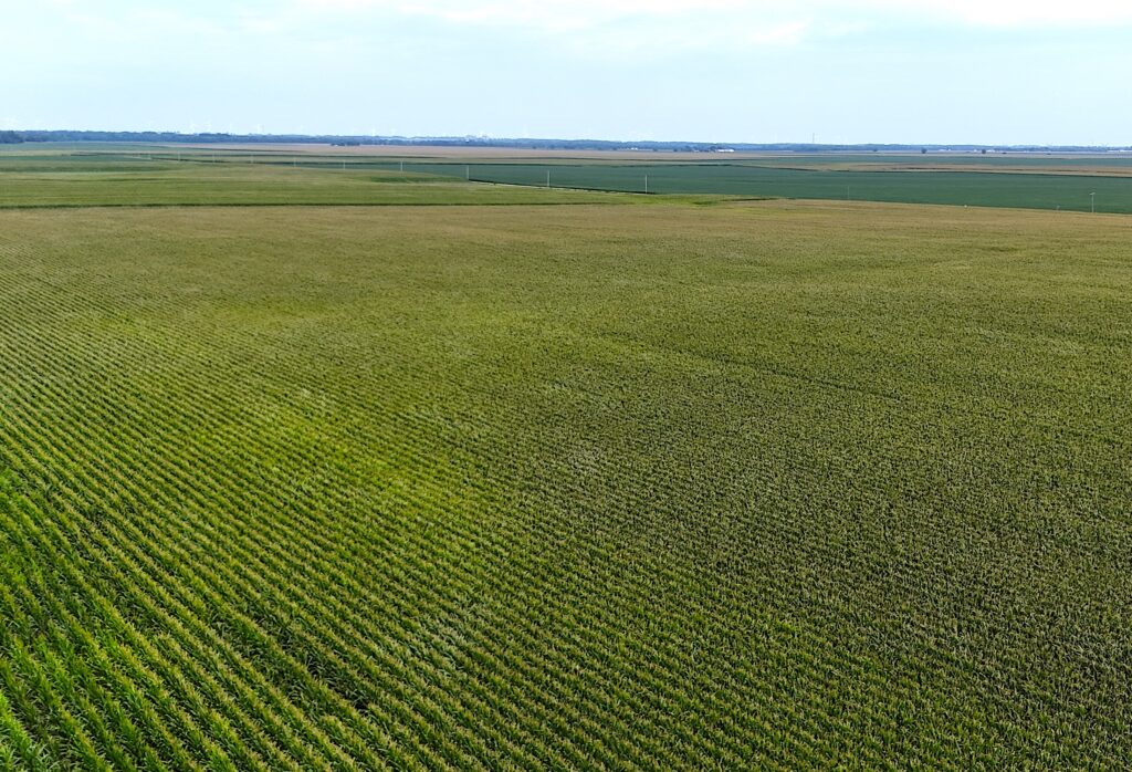 Logan County 114 A – Central Illinois