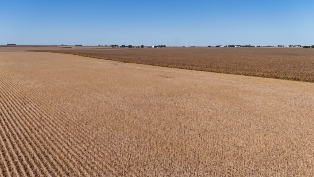 Woodford County 165 A – Central Illinois